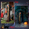 Life Size Animatronic Halloween Witch with Pre-Recorded Phrases